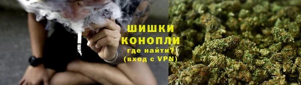 spice Лабытнанги