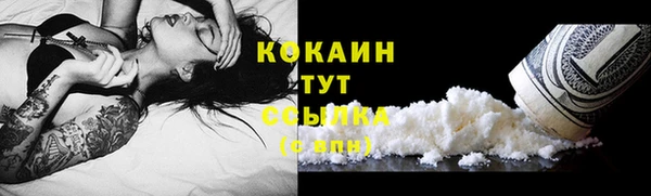 МДПВ Снежинск