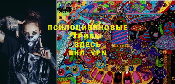 spice Лабытнанги